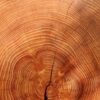 How to Choose and Prepare Wood for Woodworking Projects