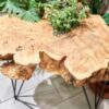 Woodworking with Live Edge Slabs: Capitalizing on Nature's Beauty